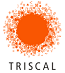 Triscal Consultoria