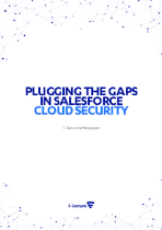 img whitepaper: plugging the gaps in salesforce cloud security